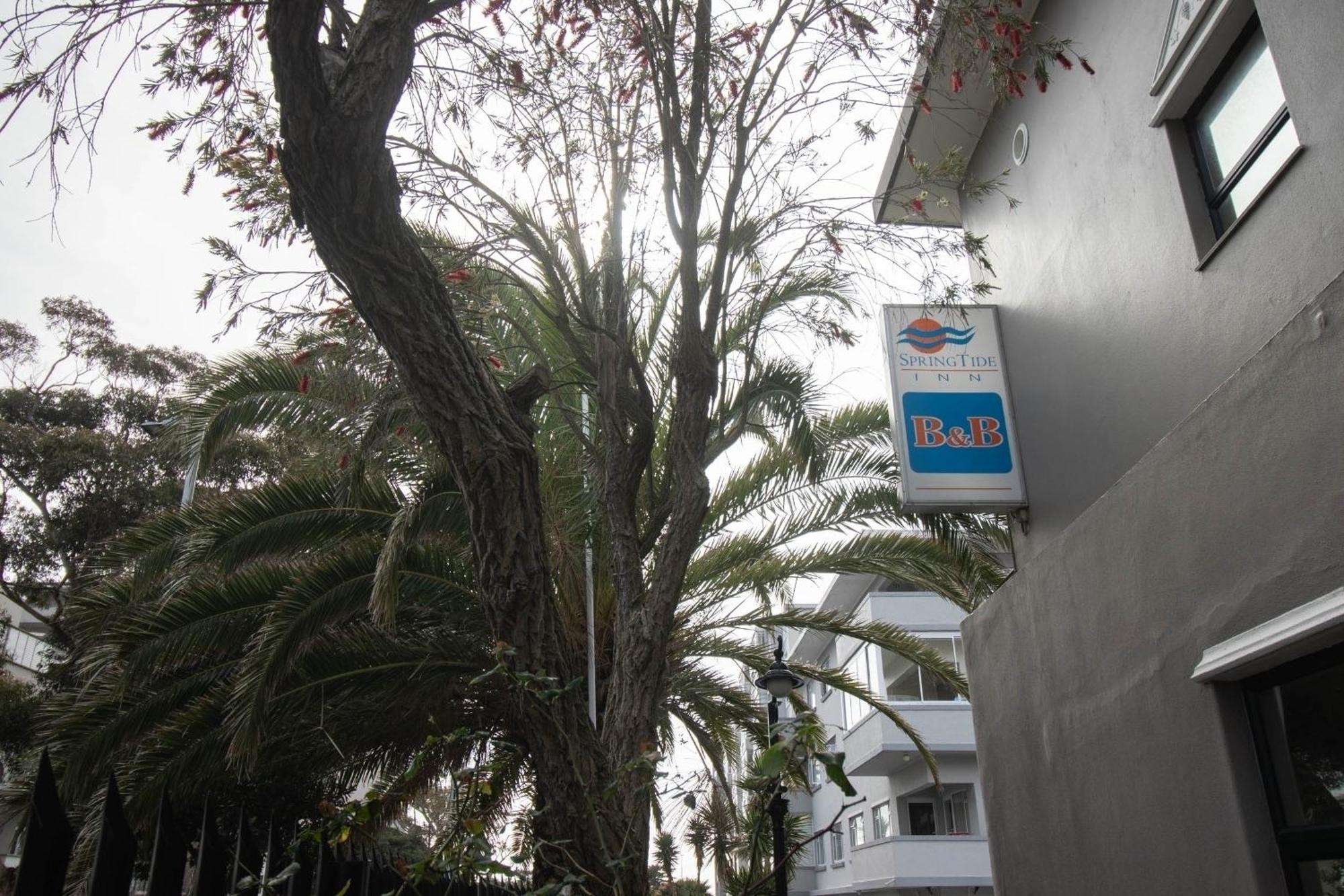 Spring Tide Inn By Ctha Cape Town Luaran gambar